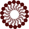 Phospholipid Complex