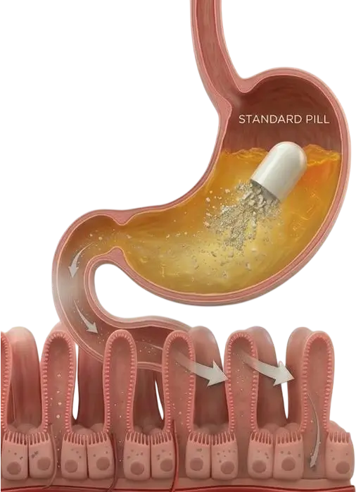 Standard Capsule
